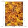 kolekcja zanurzone w bursztynie, bursztyn, jantar, amber, inkluzje, kamienie ozdobne, biżuteria, komar, ważka, ważki, gemstones, amber collection, inclusions, jewellery, ammonite, mosquito, dragonfly, dragonflies, Bernstein